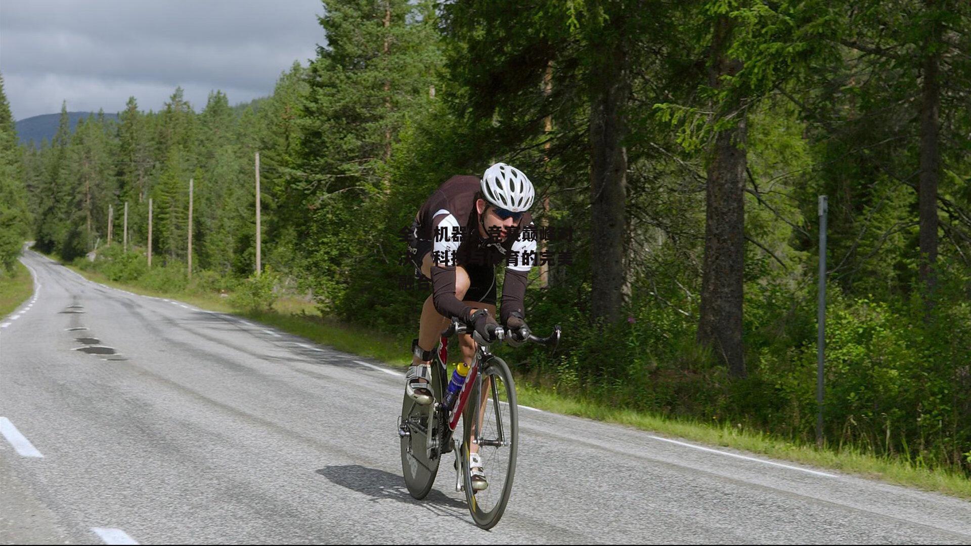 全球机器人竞赛巅峰对决，科技与体育的完美融合